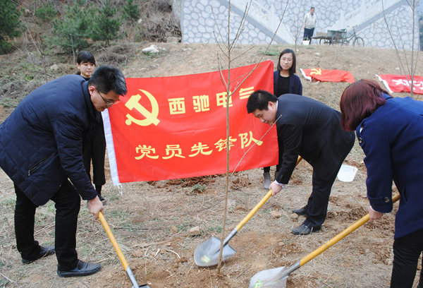 “春動(dòng)西馳 綠滿秦嶺”公益植樹活動(dòng)(圖3)