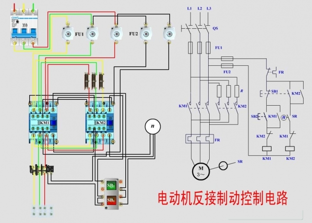 常用電動機(jī)控制實(shí)物接線圖+原理圖(圖4)