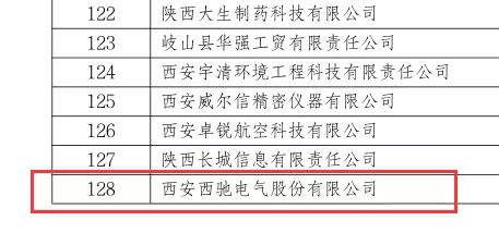 喜訊|西馳電氣榮獲國家級(jí)專精特新“小巨人”企業(yè)(圖2)